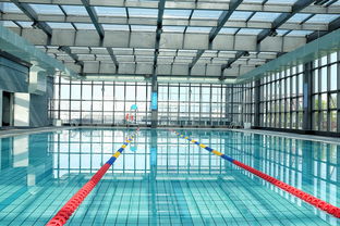 mk中国官网-世界游泳锦标赛中国运动员连续夺牌，世界游泳锦标赛中国运动员连续夺牌几次