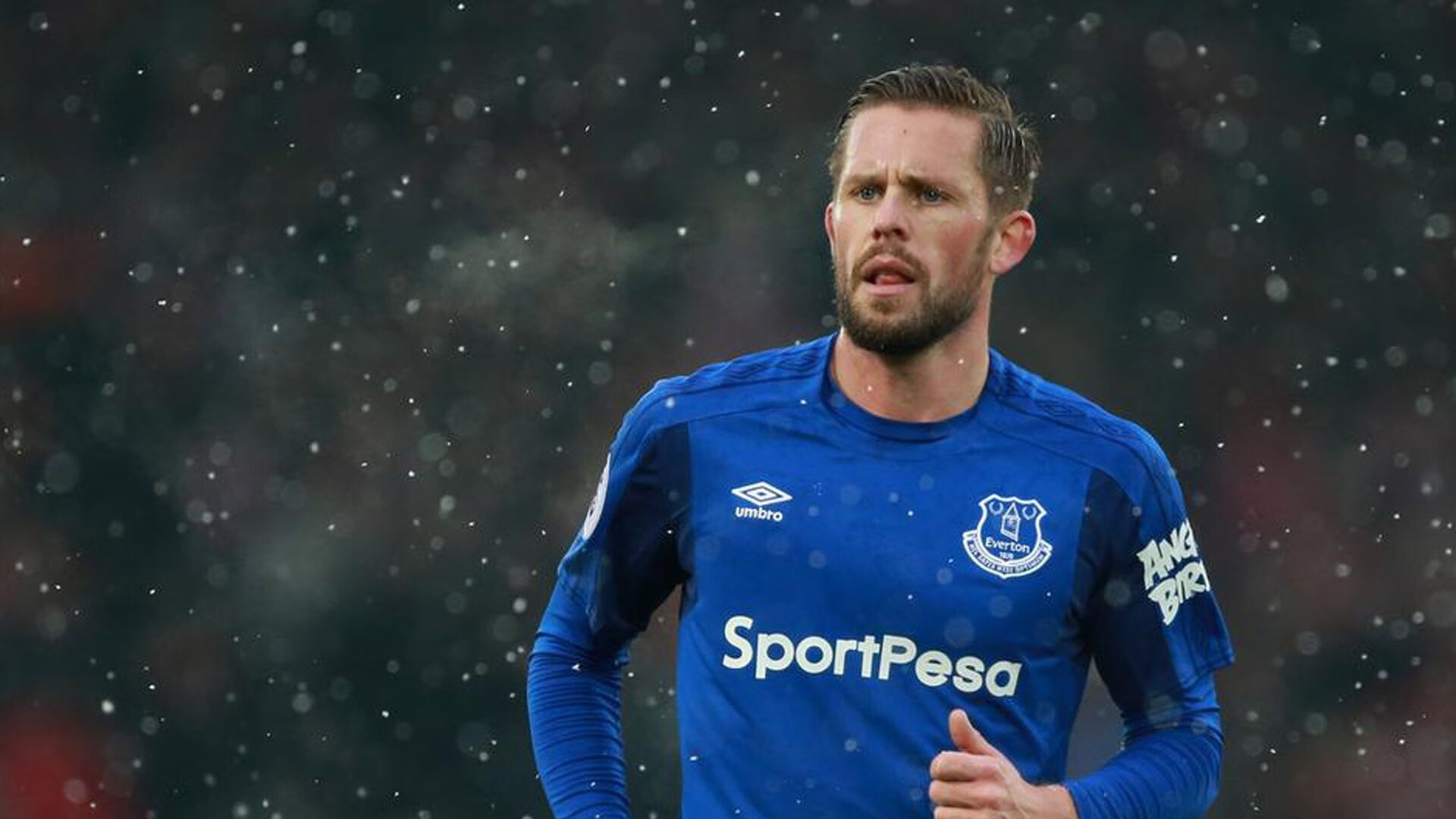 体育粉丝最喜欢的明星